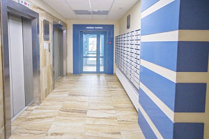 Фото Парад — Краска Парадная