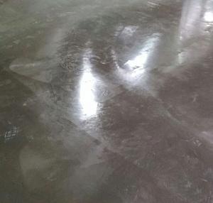 Фото Парад — Жидкое стекло